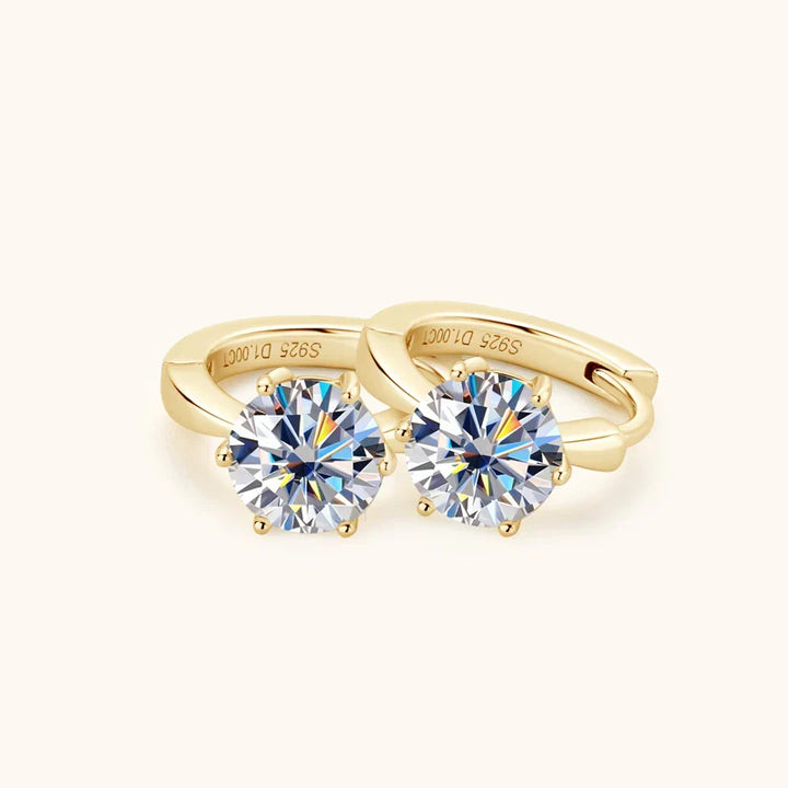 Elegant Fashionable Earrings